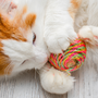 Jeux et jouets pour chats : pourquoi la stimulation est-elle si importante ?